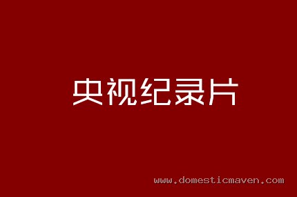 央视纪录片