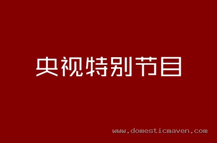央视特别节目